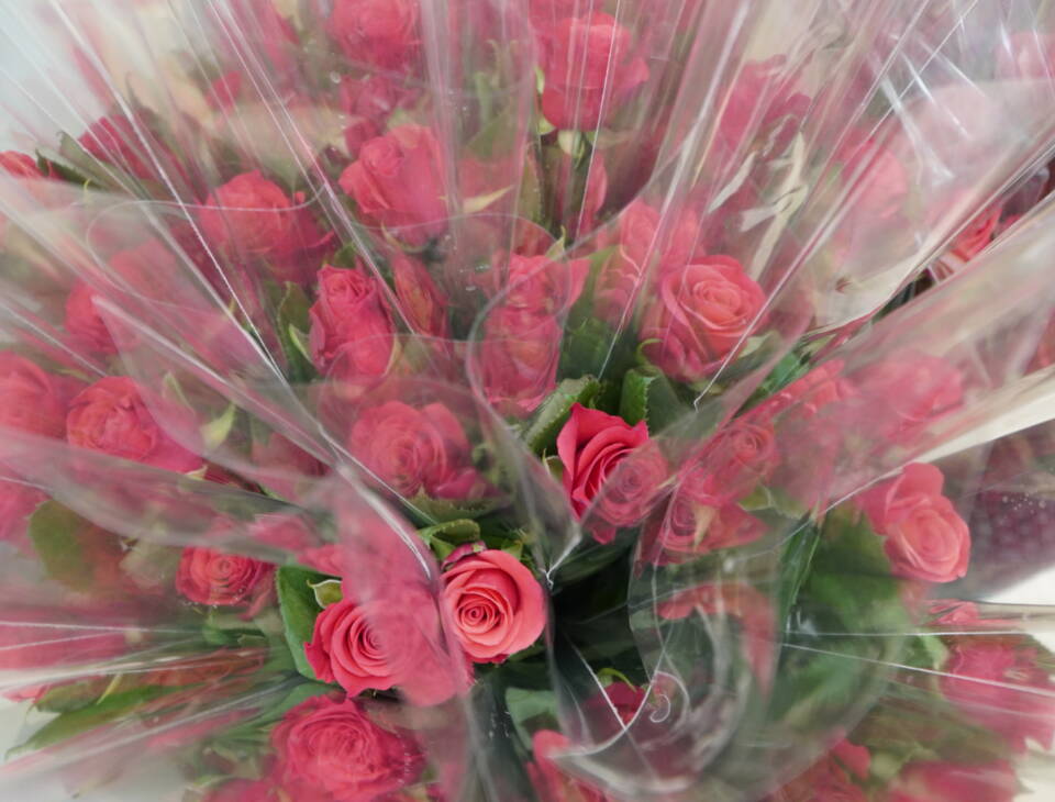 Punaisia ruusuja muovipakkauksissa.